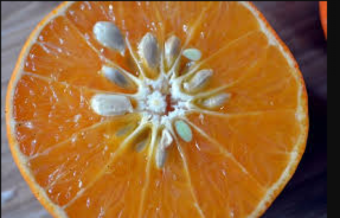 Use oranges to increase facial glow in winter