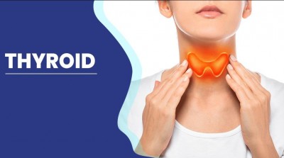 If You Want to Get Rid of Thyroid, Include These 4 Things in Your Diet for Relief