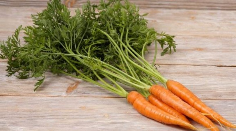 गाजर की पत्तियों से सेहत को होते हैं चौकाने वाले फायदे