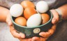These Foods Contain More Protein Than Eggs