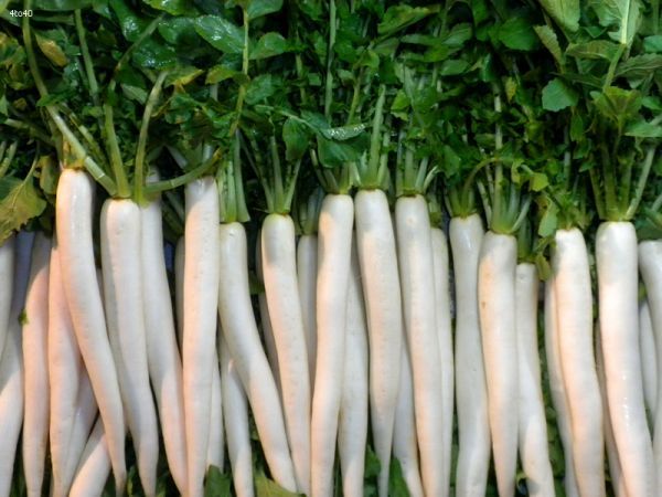 Do not consume these things with radish even by mistake or else...