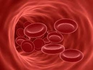 खून की कमी बन सकती है महिलाओं और पुरुष के लिए बड़ी बीमारी का कारण