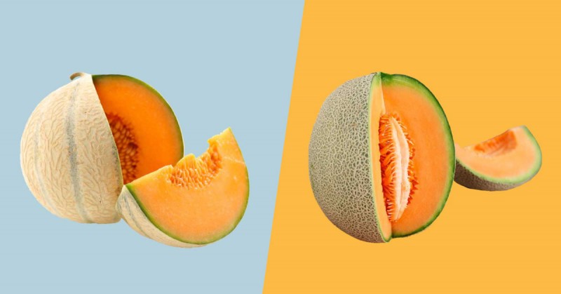 Melon is very beneficial, know its benefits
