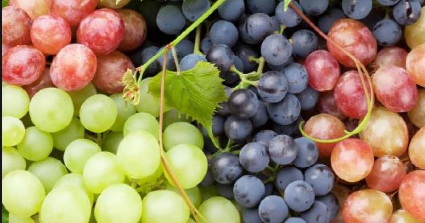 The body remains agile by eating grapes, know its unique benefits