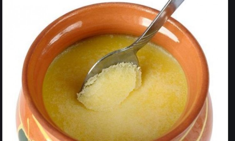 Start Pouring Cow S Ghee In Your Nose From Today To Get This Unique Benefits Newstrack English 1