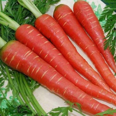 Know these benefits of eating carrots in winter?