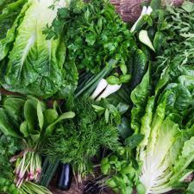 हरी सब्जियां खाने के है कई फायदे, जानेंगे तो तुरंत बदल लेंगे अपने घर का मेन्यू