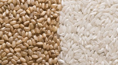 गेहूं या चावल... कौन सा आटा है ज्यादा फायदेमंद? यहाँ जानिए