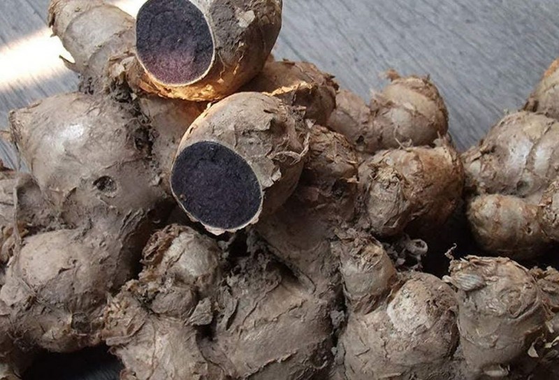 Black Turmeric Providing Relief from Headaches to Asthma and More