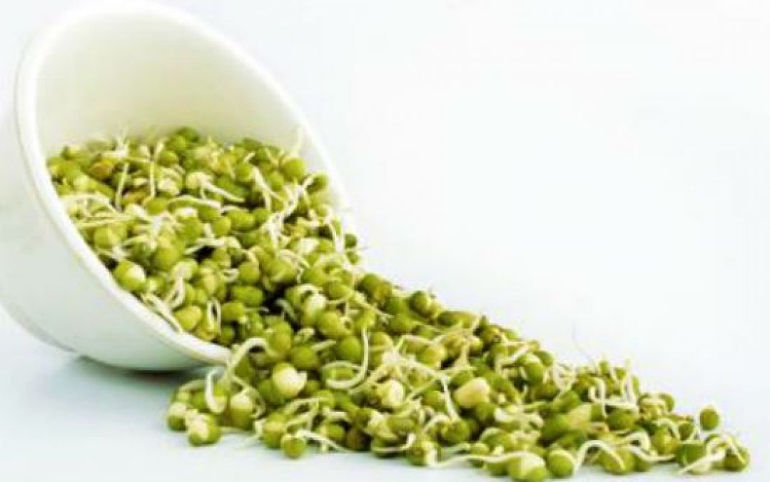 Include sprouts in the diet to control obesity