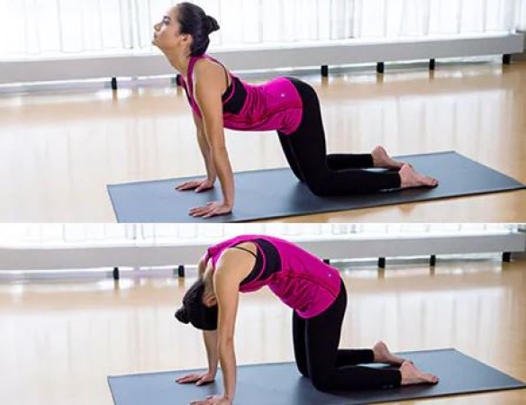 Practice These Yoga Asanas to Relieve Back Pain and Experience Relief