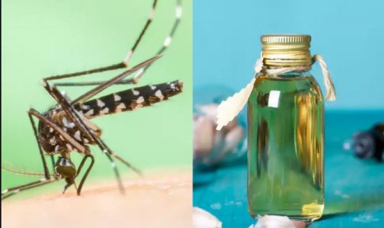 If mosquitoes are bothering you, then some home remedies can get rid of mosquitoes