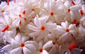 तनाव को कम करने के लिए घर में लाएं हरसिंगार के फूल