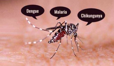 डेंगू, मलेरिया और टायफॉइड से बचाएंगे ये टिप्स, अपनाए जरूर