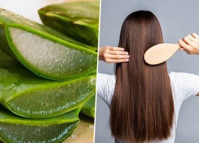 Nourish Your Hair and Beat Hair Fall with Aloe Vera!