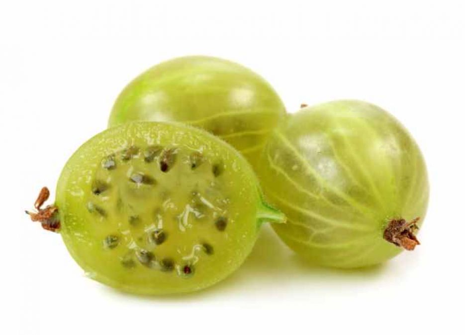 Indian gooseberry best used in the treatment of epilepsy, Know more