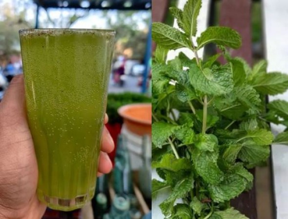 'Chilled mint water' is very beneficial in summer, know how to make it