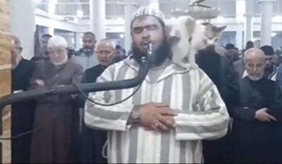 VIDEO! अचानक नमाज़ पढ़ रहे इमाम पर कूद गई बिल्ली और फिर जो हुआ...