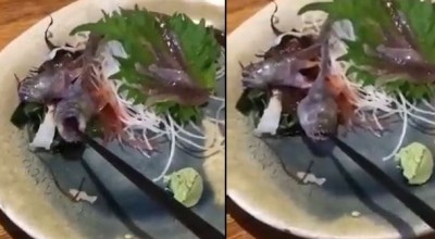 VIDEO! रेस्टोरेंट में शख्स ने मंगवाई 'टेस्टी फिश', अचानक प्लेट में ही हो गई जिंदा और फिर जो हुआ...