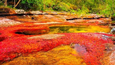 This River in Colombia Turns Into a Liquid Rainbow