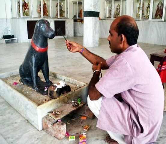 इस मंदिर में की जाती है कुत्ते की पूजा