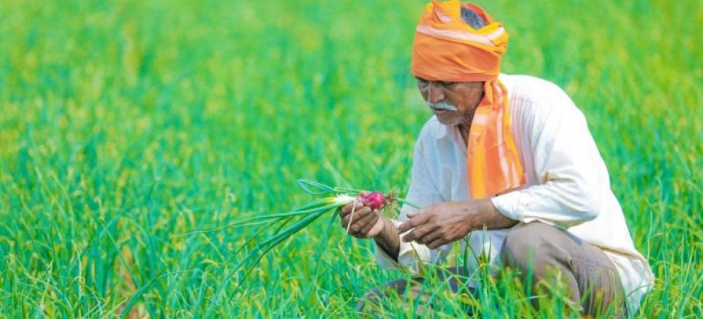 Telangana Government to secure paddy farmers interest, Waive off loan