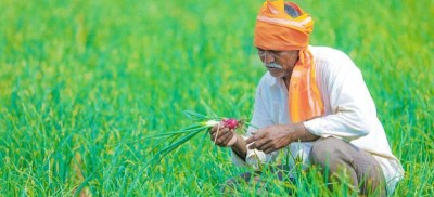 तेलंगाना सरकार का बड़ा ऐलान, धान किसानों का ब्याज किया सुरक्षित