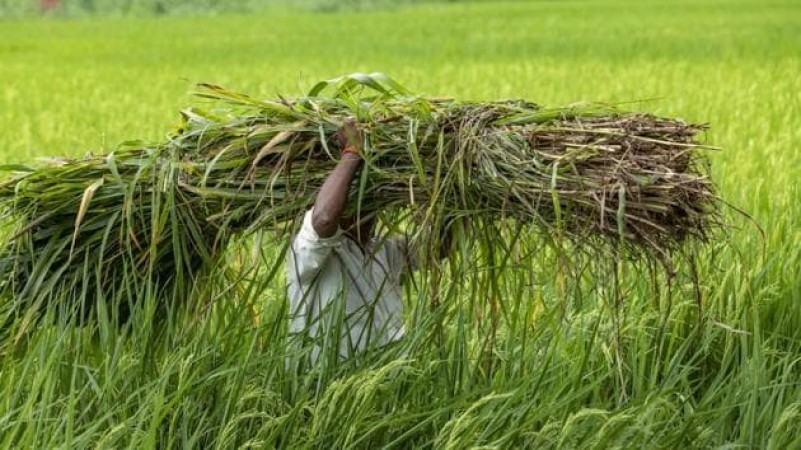 Weather warning issued to farmers, alert on these five districts of AP