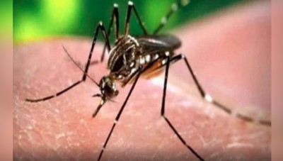Bangalore on vigil as the first case of Zika virus surfaces