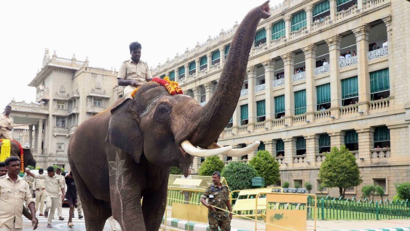 Elephant Mahadevi's return to Kolhapur from Ambani's Vantara: Maharashtra CM Fadnavis shares recent update