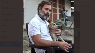 Rahul Gandhi opposes SC's order to relocate stray dogs, says, 