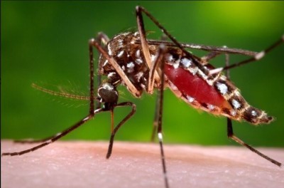 Uttar Pradesh  government  raises alert on Zika virus