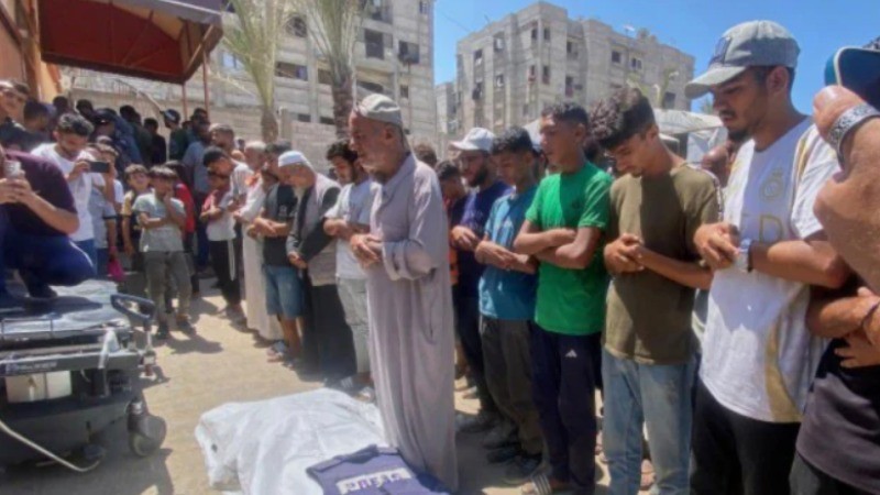 Journalists killing in Gaza: MEA issues statement, calls it 'deeply regrettable'