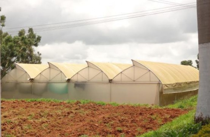 Low cost polyhouses Project to improvise livelihood of GOA youths, NABARD