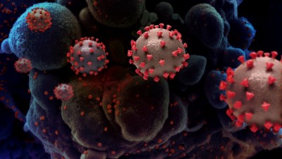 डब्ल्यूएचओ के वैज्ञानिक ने कहा- यूके न्यू-कोरोनावायरस तनाव कई अन्य देशों में भी फ़ैल सकता है