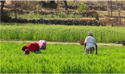 Govt receives Rs 23000-Cr proposals under Agriculture Infrastructure Fund