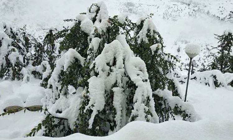 Himachal Pradesh's higher and mid hills receive heavy snowfall