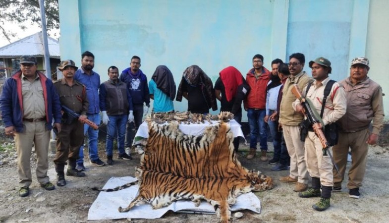 बंदरदेव में रॉयल बंगाल टाइगर की खाल के साथ तीन तस्कर गिरफ्तार