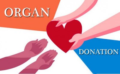 Donate Organs: Received freely, give freely