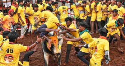 Thrilling Palamedu Jallikattu Ignites Pongal Festivities in Madurai