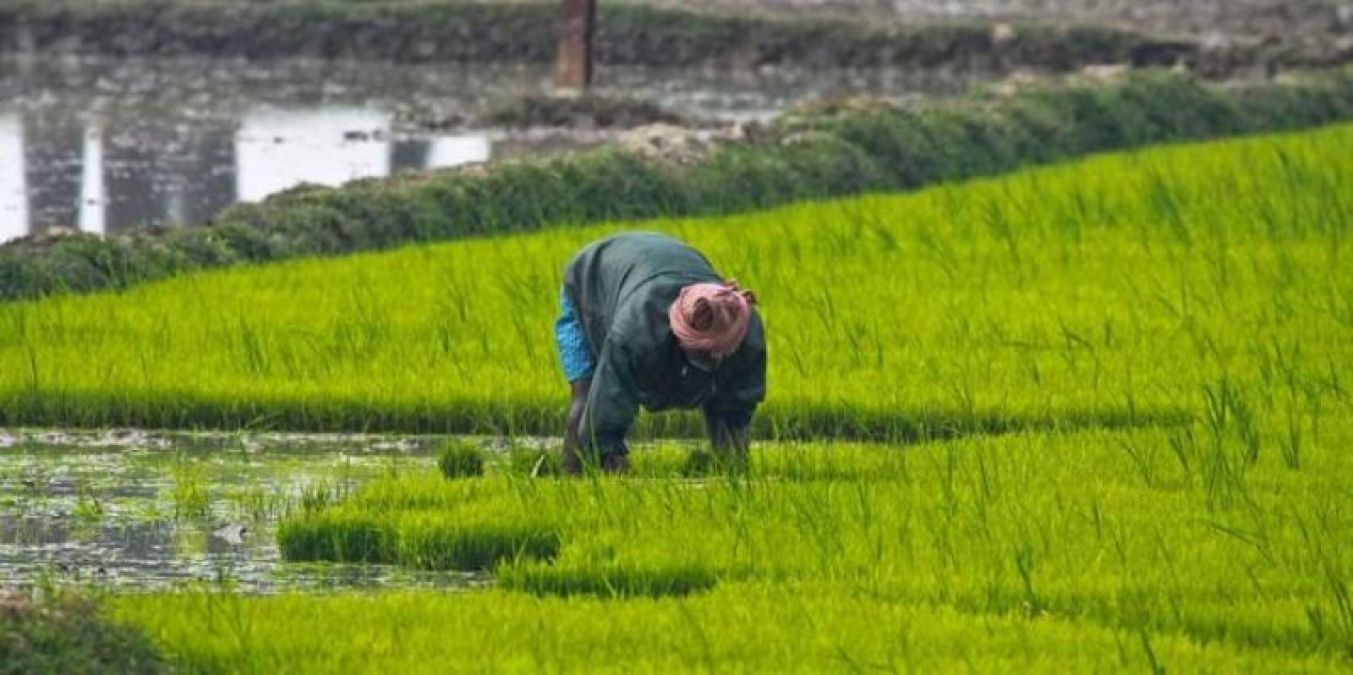 Arunachal Pradesh:  Minister Tage Taki aims for scientific farming in The State
