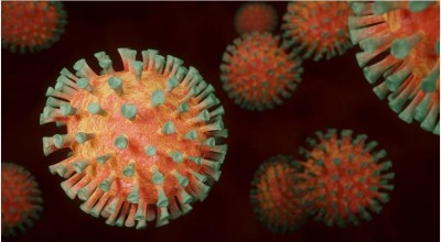 Thee delta plus variant virus reached to 12 states, the highest number of cases found in Maharashtra
