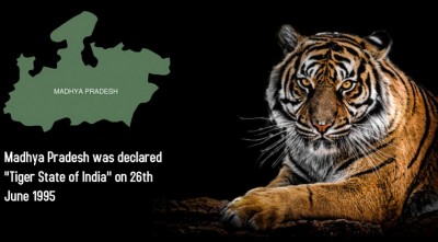 This Day That Year: Madhya Pradesh Is Declared the Tiger State of India