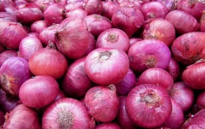 Maha Govt to give compensation of Rs300 per quintal to onion farmers