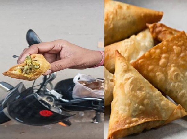 Disturbing Discovery in Hapur: Lizard Found in Sweets Outlet's Samosa