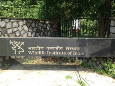 Madurai HC bench has ordered the Government to setup Wildlife Forensic laboratory in Madurai
