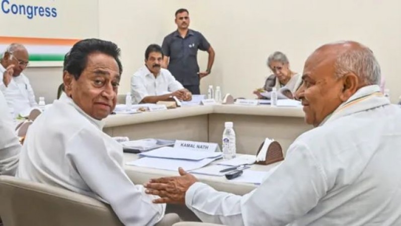Kamal Nath to Contest from Chhindwara: Congress Unveils Key Candidates for MP and CG elections