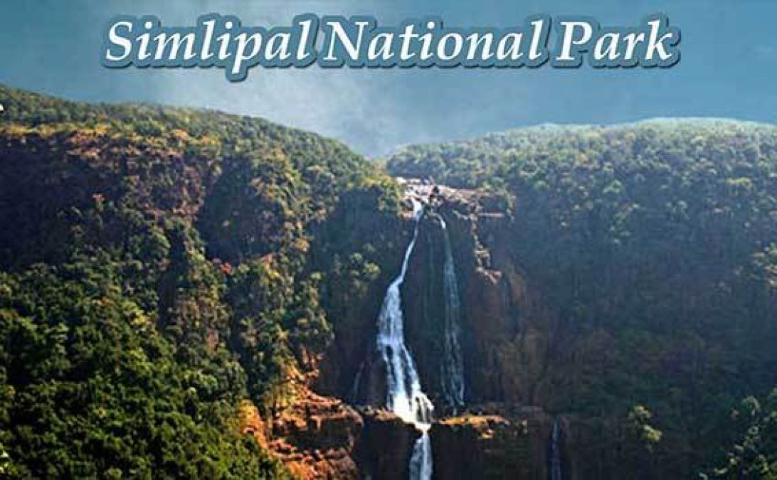 1 नवंबर से सिमिलिपाल नेशनल पार्क जा सकेंगे पर्यटक