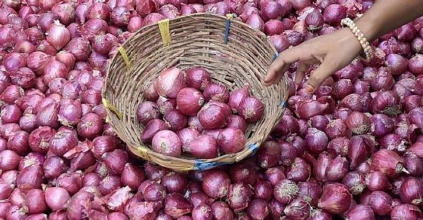 Buffer Stock: Centre starts procuring 52,460-Tn onion till May