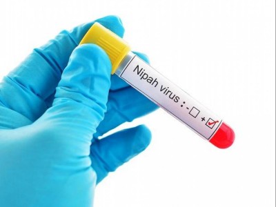 2 more identified with symptoms of Nipah virus in Kerala